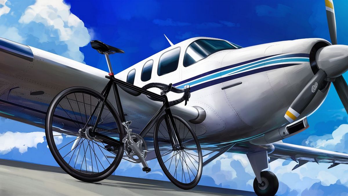 Can You Bring a Bike on a Plane?